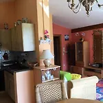 Orchidee