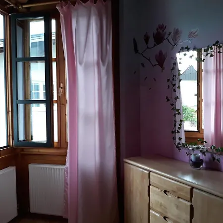 Orchidee Apartment Kossen