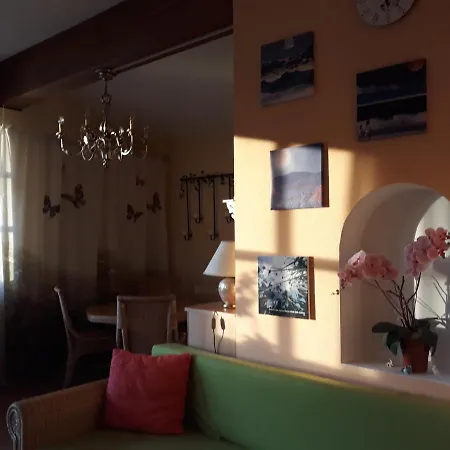 Orchidee Apartment Kossen