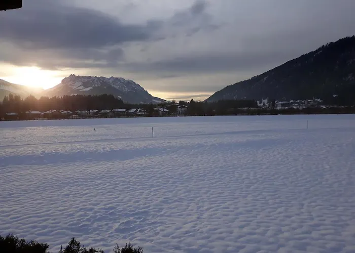 Orchidee * ケセン