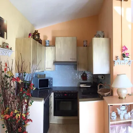 Orchidee Daire